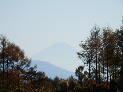 丘の公園富士.png