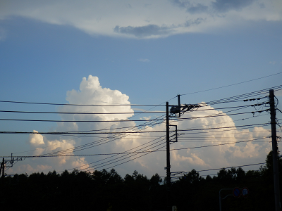 夏雲と電線.png